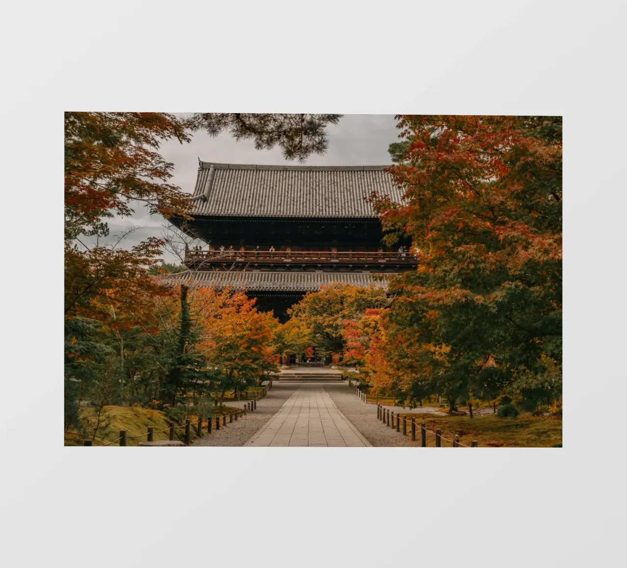 Tempio d'autunno a Kyoto, Giappone pellicola backlit da Marcel Bisig