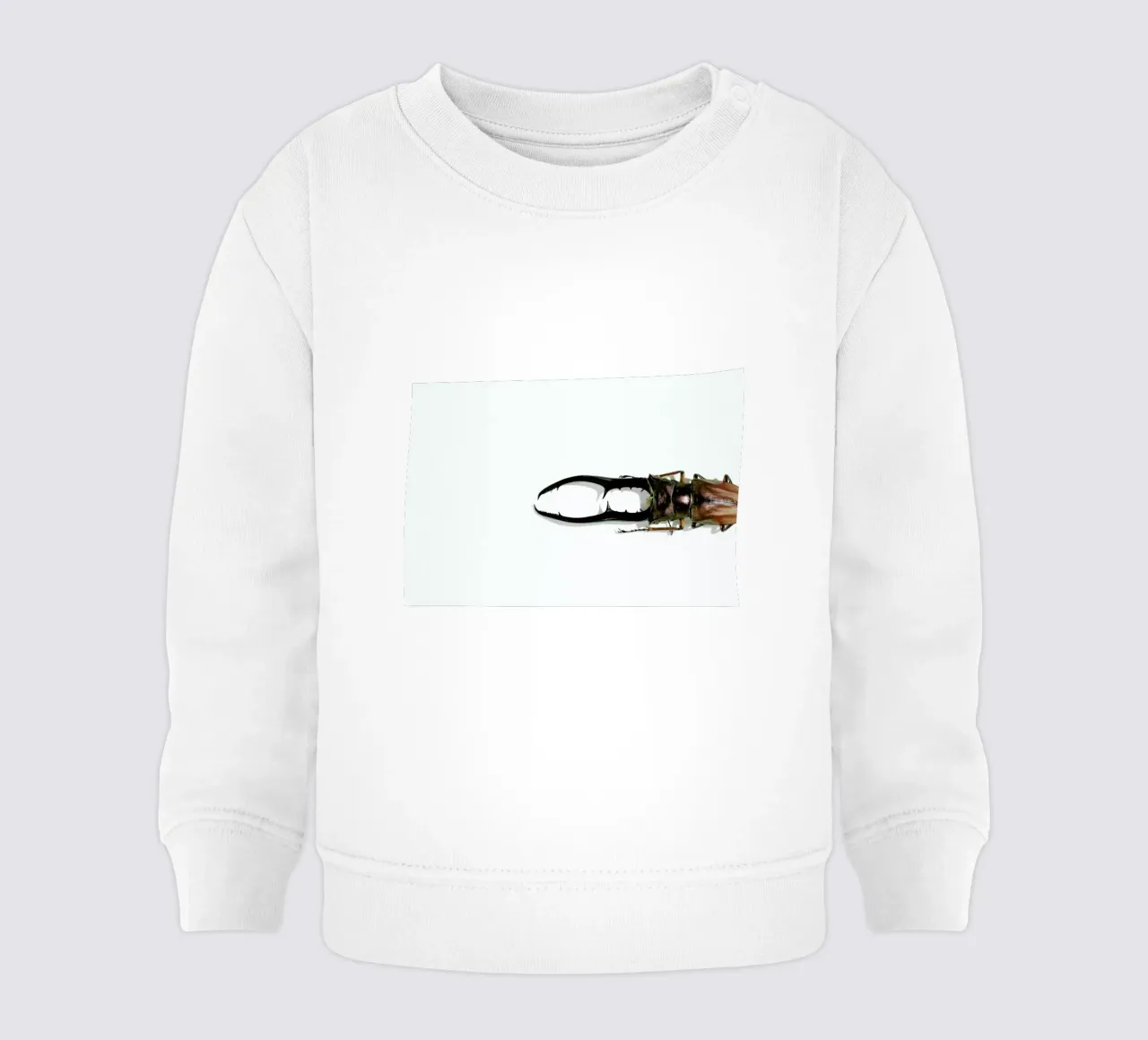 Animalium 4 baby sweatshirt by Günther Egger
