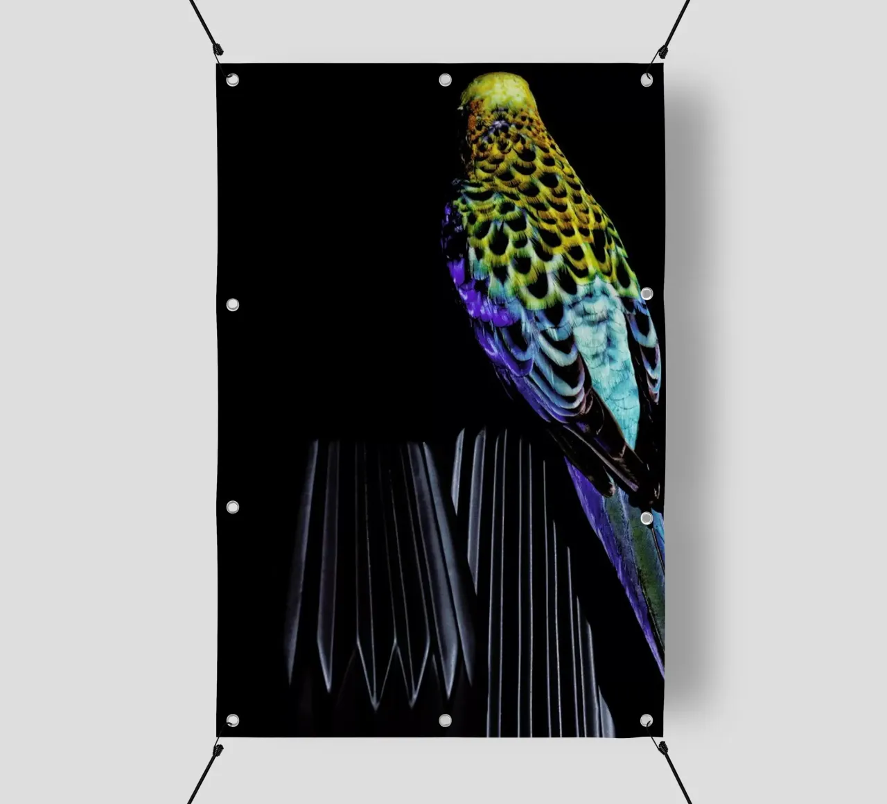 Birds Everywhere 20 telo in pvc da Günther Egger