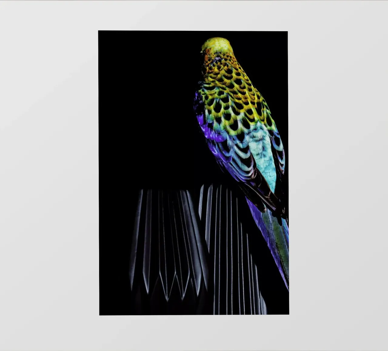 Birds Everywhere 20 telo in pvc da Günther Egger