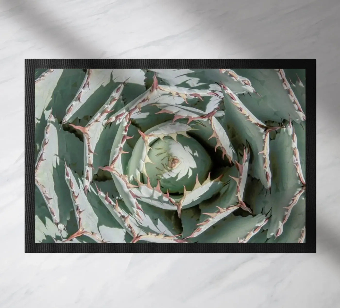 Agave doormat by Shot By Clint