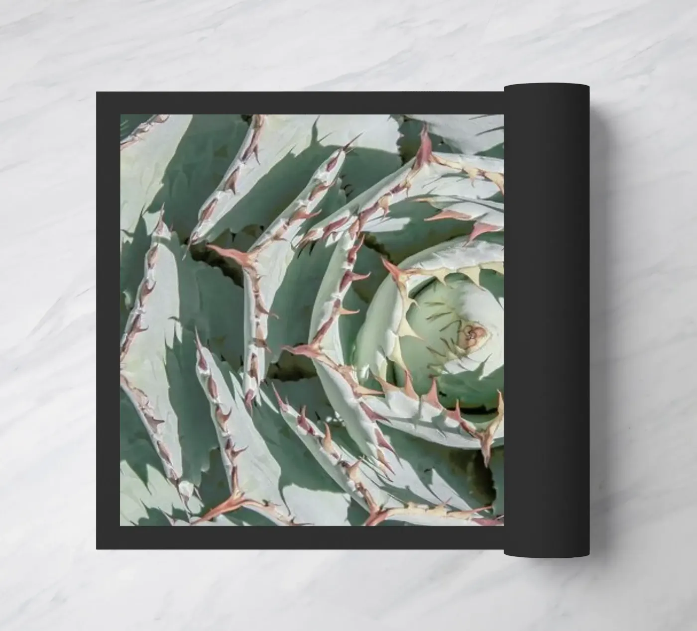 Agave doormat by Shot By Clint