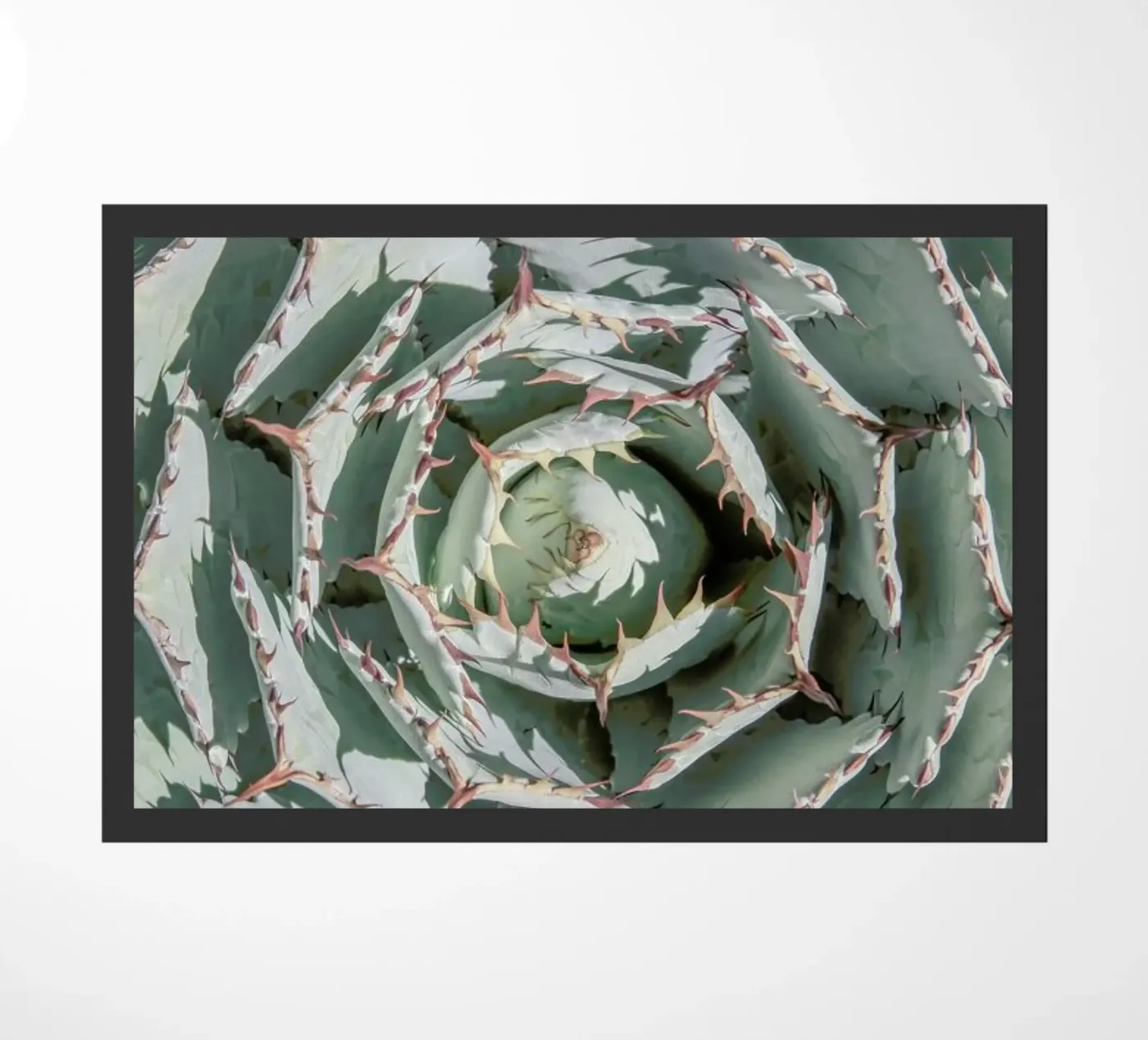 Agave doormat by Shot By Clint