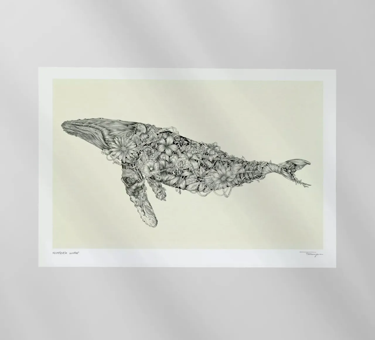 For the Paper Rain Project in Support of Project Jonah pellicola backlit da Faunesque