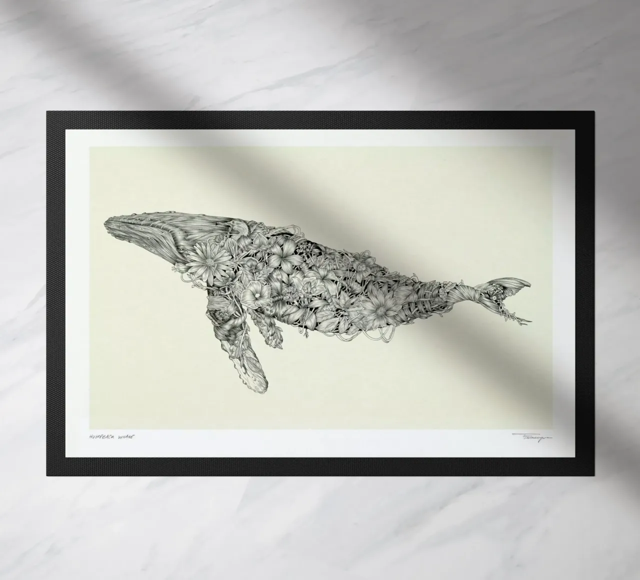 For the Paper Rain Project in Support of Project Jonah zerbino da Faunesque