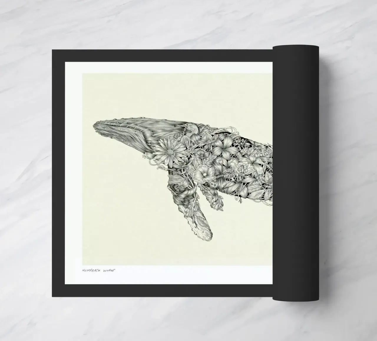 For the Paper Rain Project in Support of Project Jonah zerbino da Faunesque