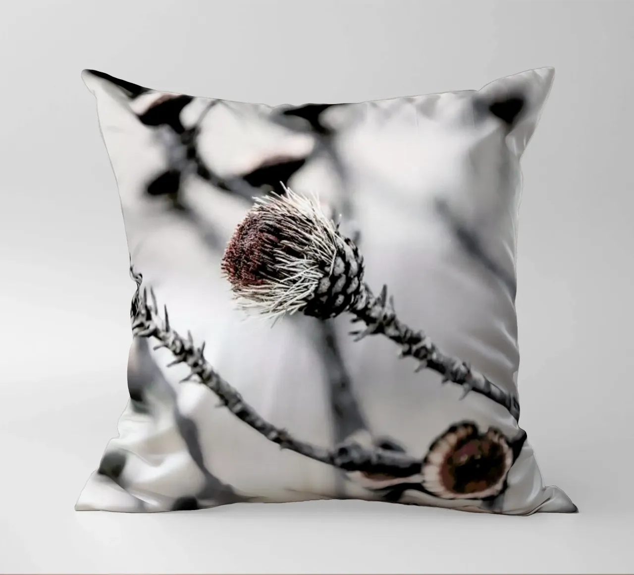 Swartberg Protea 2 decorative cushion by Shot By Clint