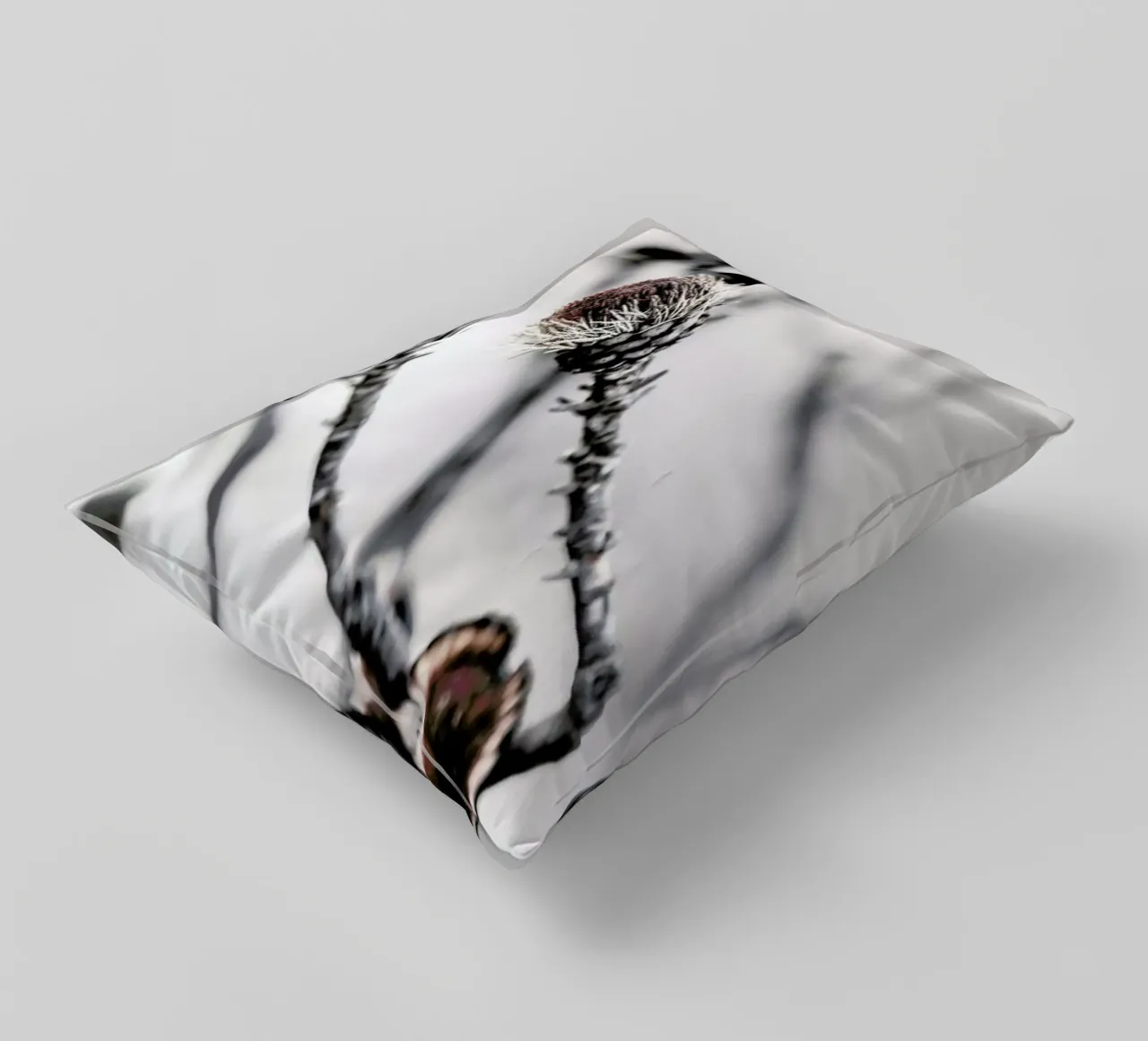 Swartberg Protea 2 decorative cushion by Shot By Clint