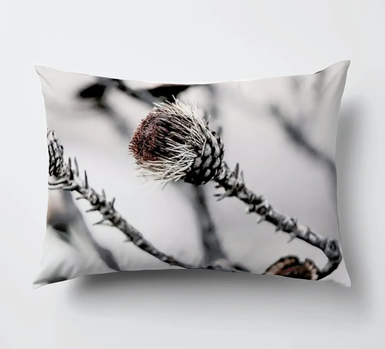Swartberg Protea 2 decorative cushion by Shot By Clint