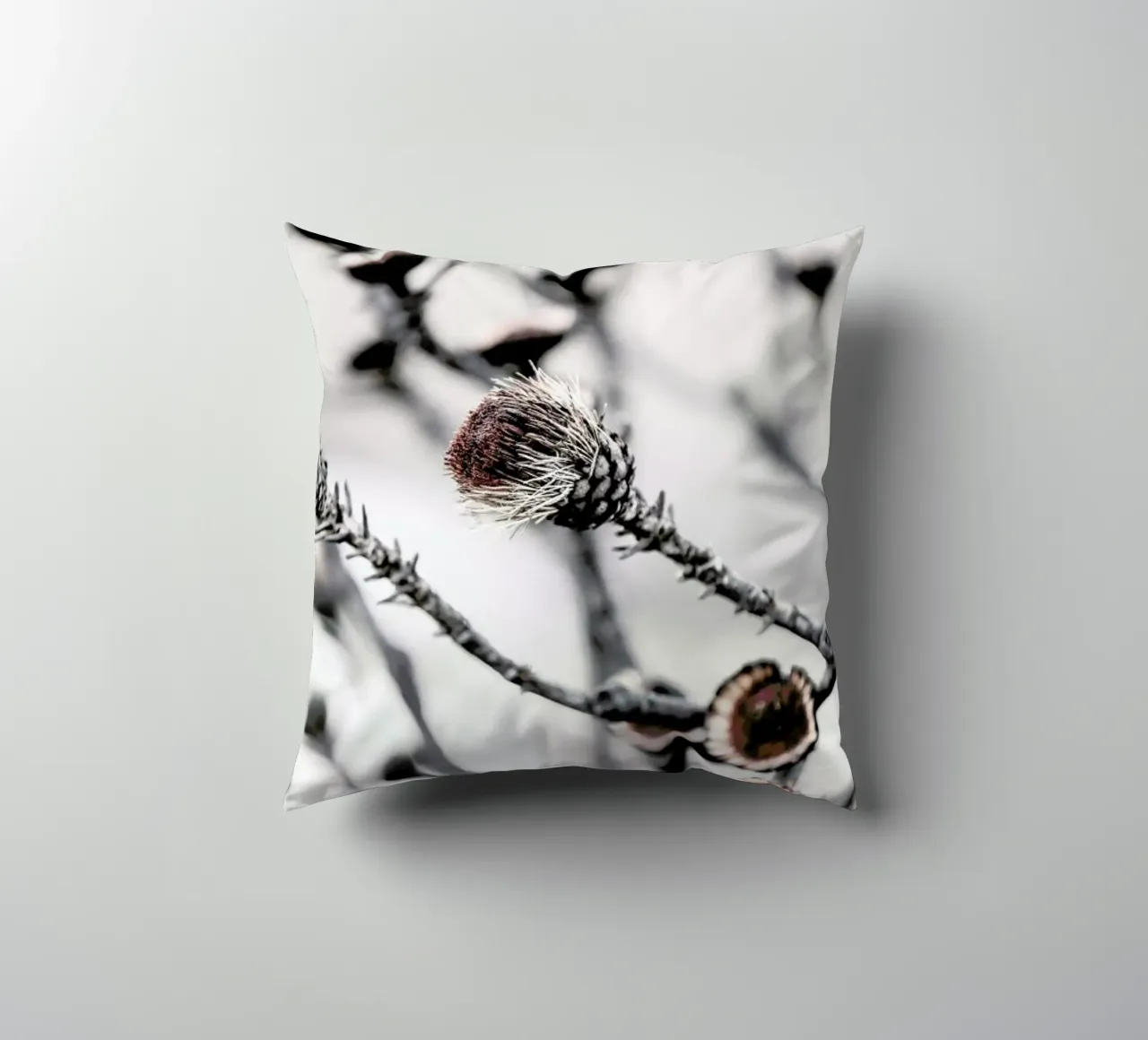 Swartberg Protea 2 decorative cushion by Shot By Clint