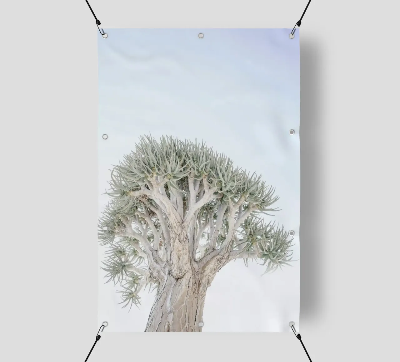 Quiver Tree telo in pvc da Shot By Clint