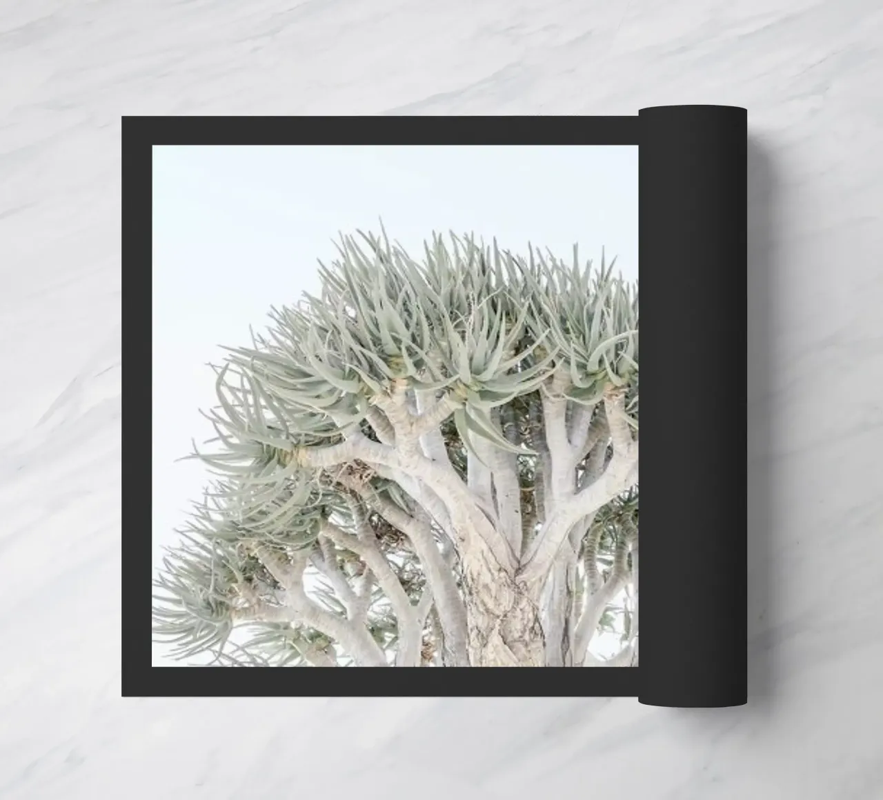 Quiver Tree doormat by Shot By Clint