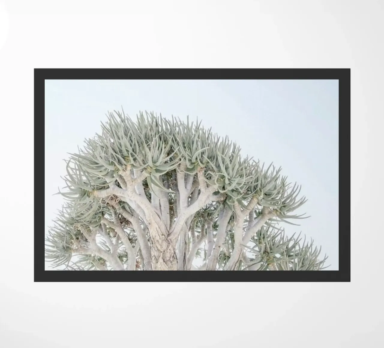 Quiver Tree doormat by Shot By Clint