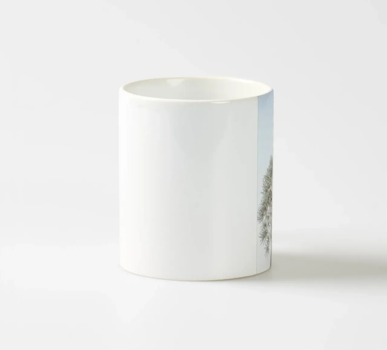 Quiver Tree tazza in ceramica da Shot By Clint
