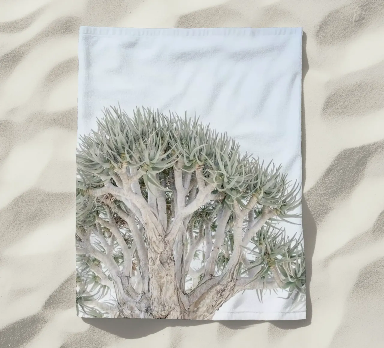 Quiver Tree telo mare da Shot By Clint