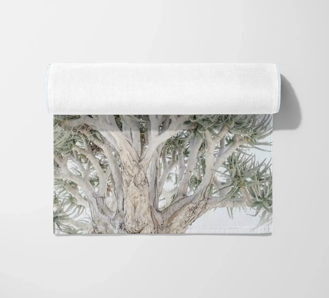 Quiver Tree telo mare da Shot By Clint