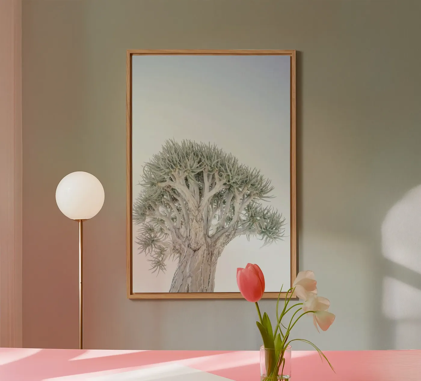 Quiver Tree pannello forex da Shot By Clint