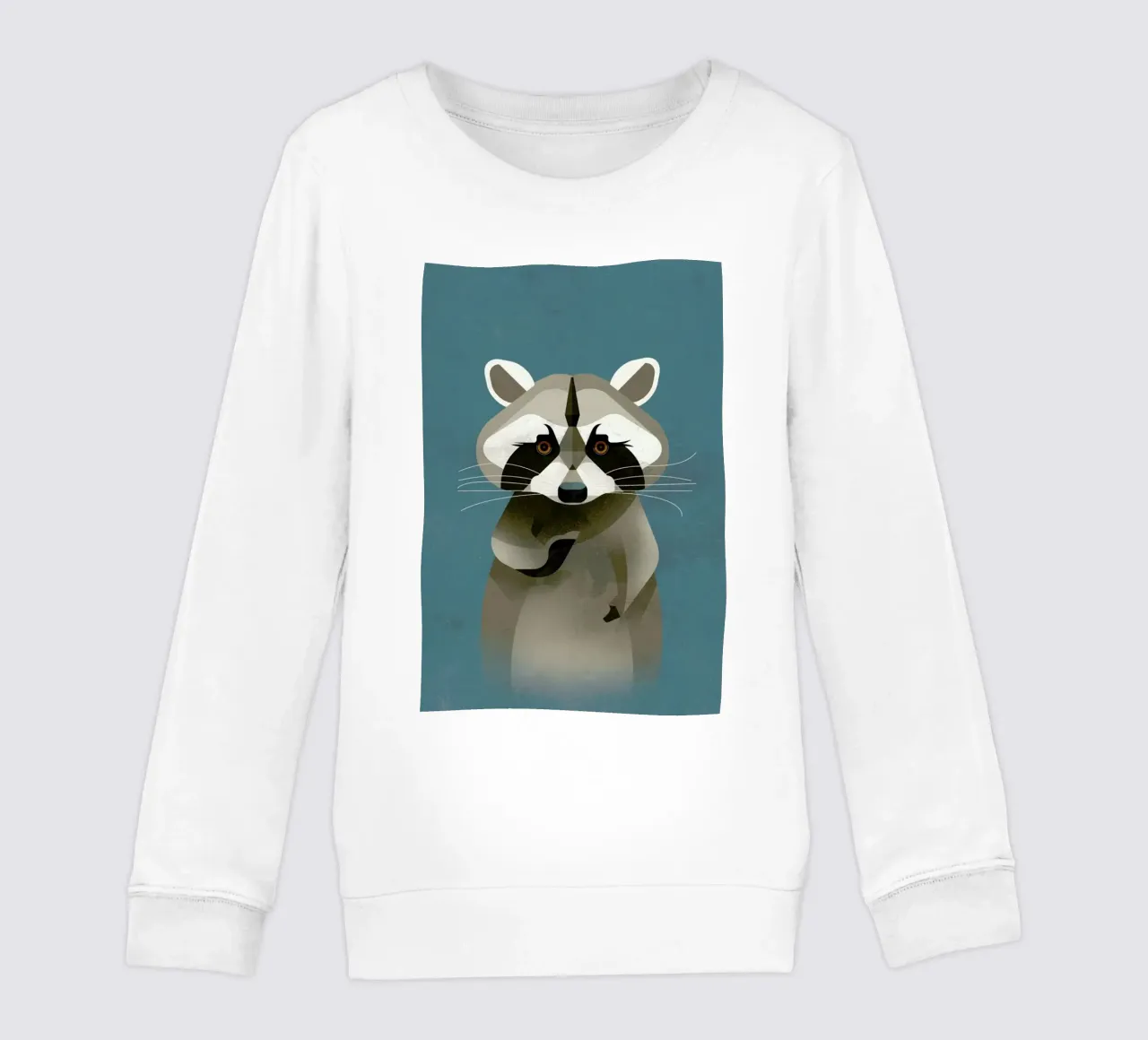 Racoon kids sweatshirt by Dieter Braun