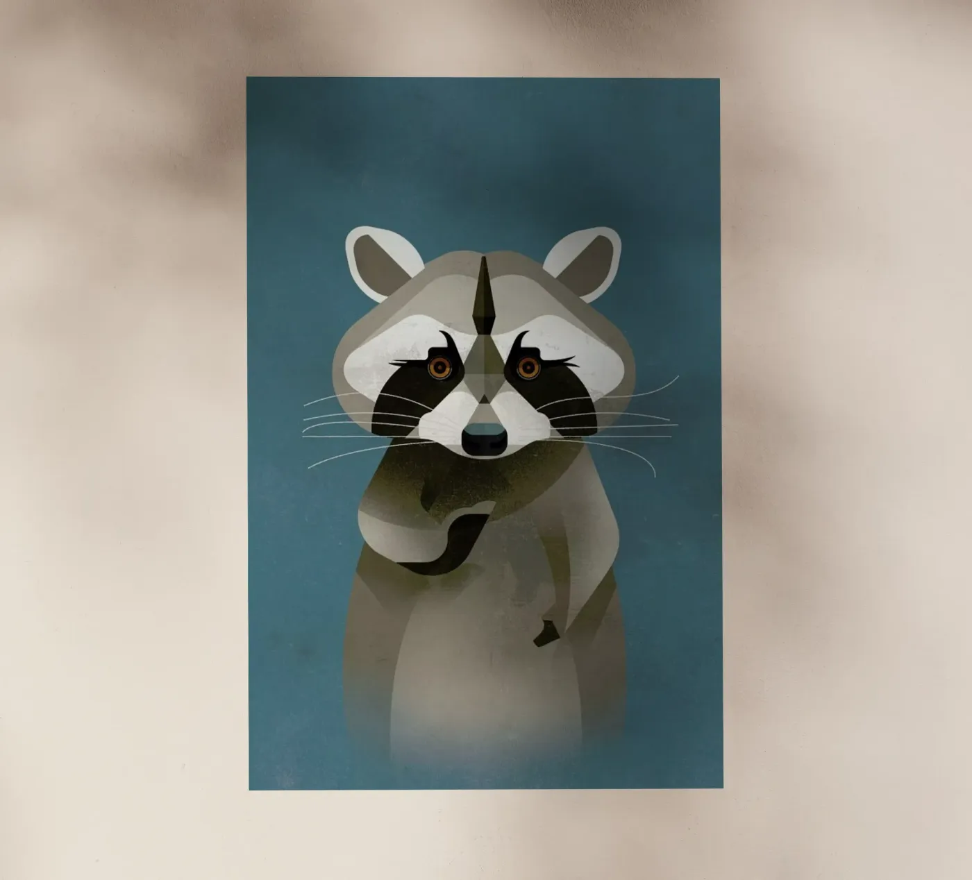 Racoon pellicola backlit da Dieter Braun