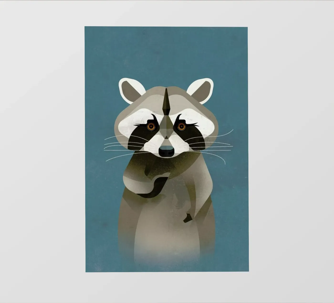 Racoon pellicola backlit da Dieter Braun