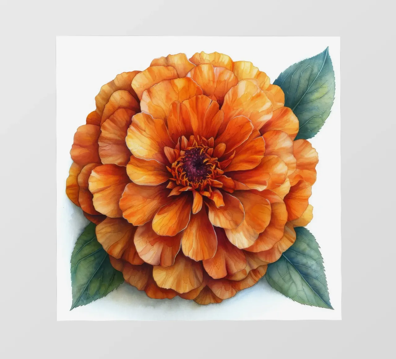 Fiore di calendula 3 telo in pvc da Bold Blooms