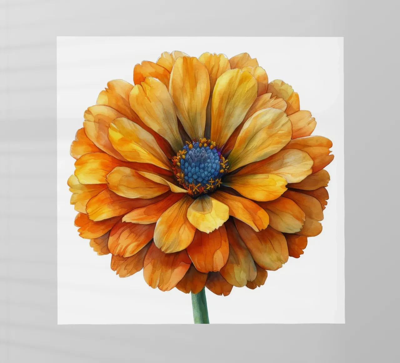 Fiore di calendula 1 pellicola backlit da Bold Blooms