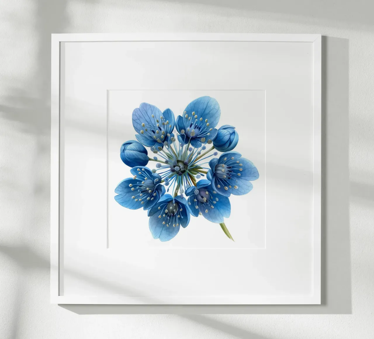 Fiore di ruta dei prati 1 poster con telaio in alluminio da Bold Blooms