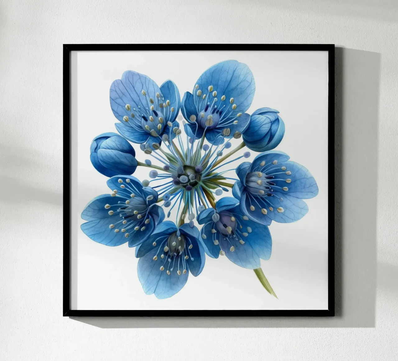 Fiore di ruta dei prati 1 poster con telaio in alluminio da Bold Blooms