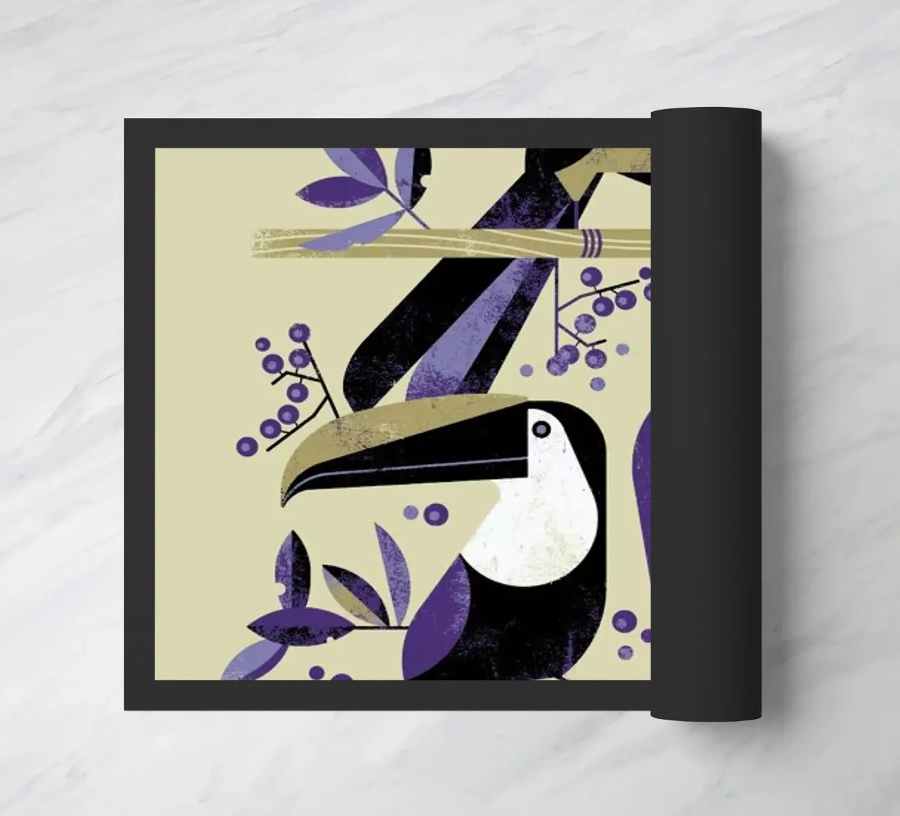 Toucan III zerbino da Dieter Braun