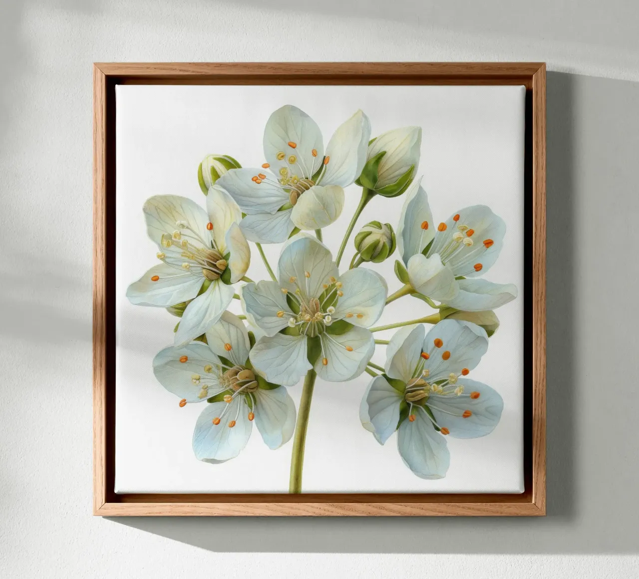 Weidevogelbloem 3 canvas met Baklijst van Bold Blooms