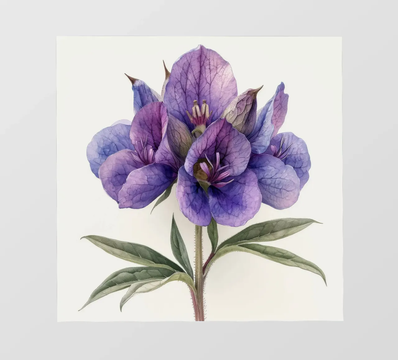 Fiore di Monkshood 4 pellicola backlit da Bold Blooms