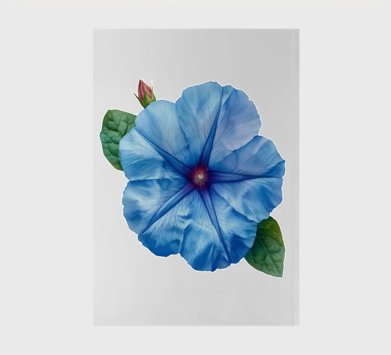 Morning Glory Flower 2 notebook by Bold Blooms
