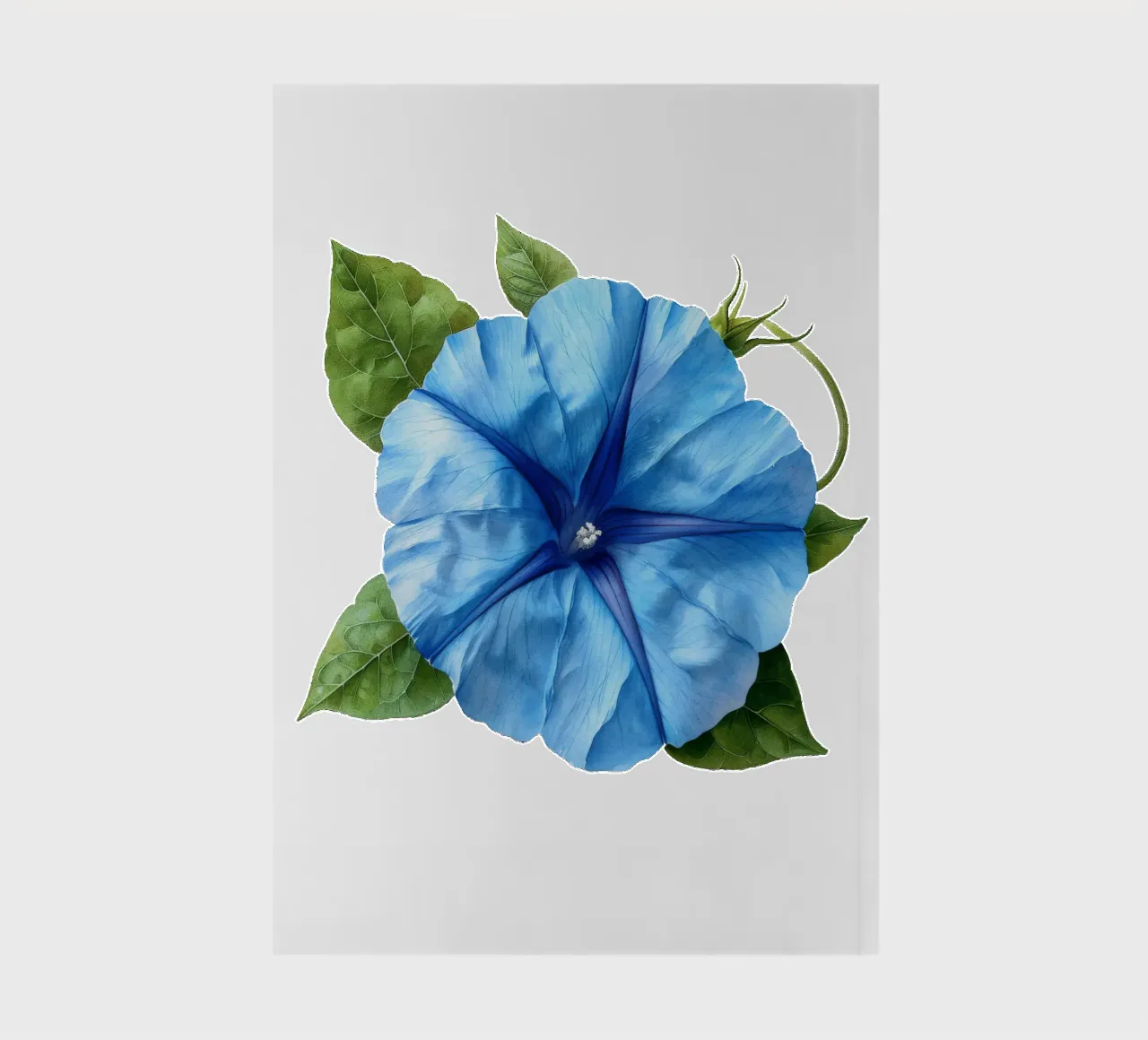 Morning Glory Flower 1 notebook by Bold Blooms