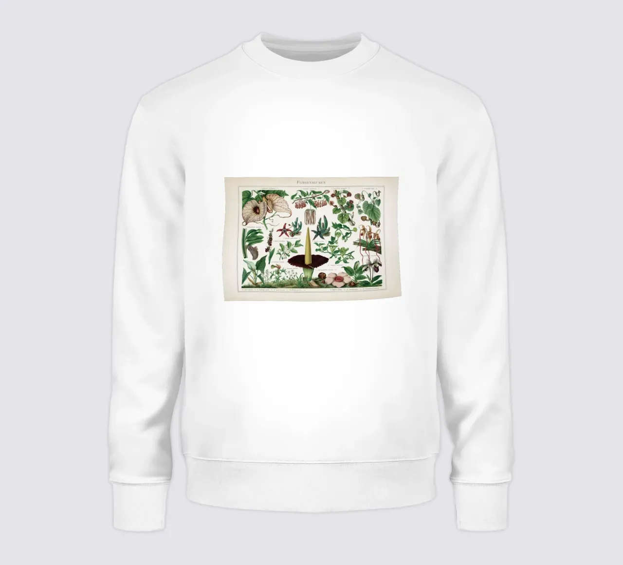 Vintage Meyers 2 Fliegenblumen felpa da Vintage Print Collection