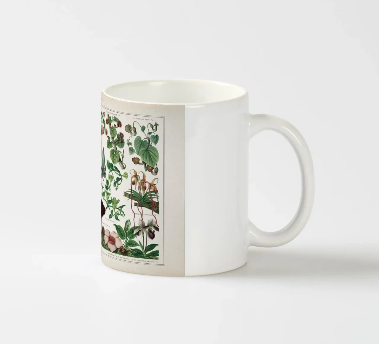 Vintage Meyers 2 Fliegenblumen tazza in ceramica da Vintage Print Collection