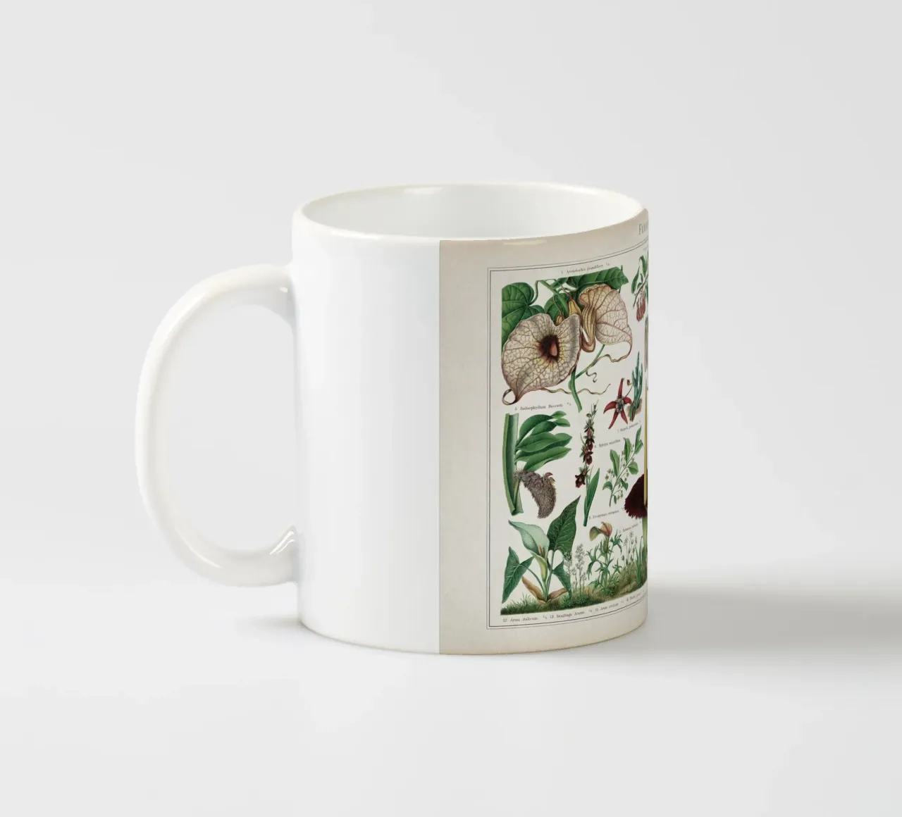 Vintage Meyers 2 Fliegenblumen tazza in ceramica da Vintage Print Collection