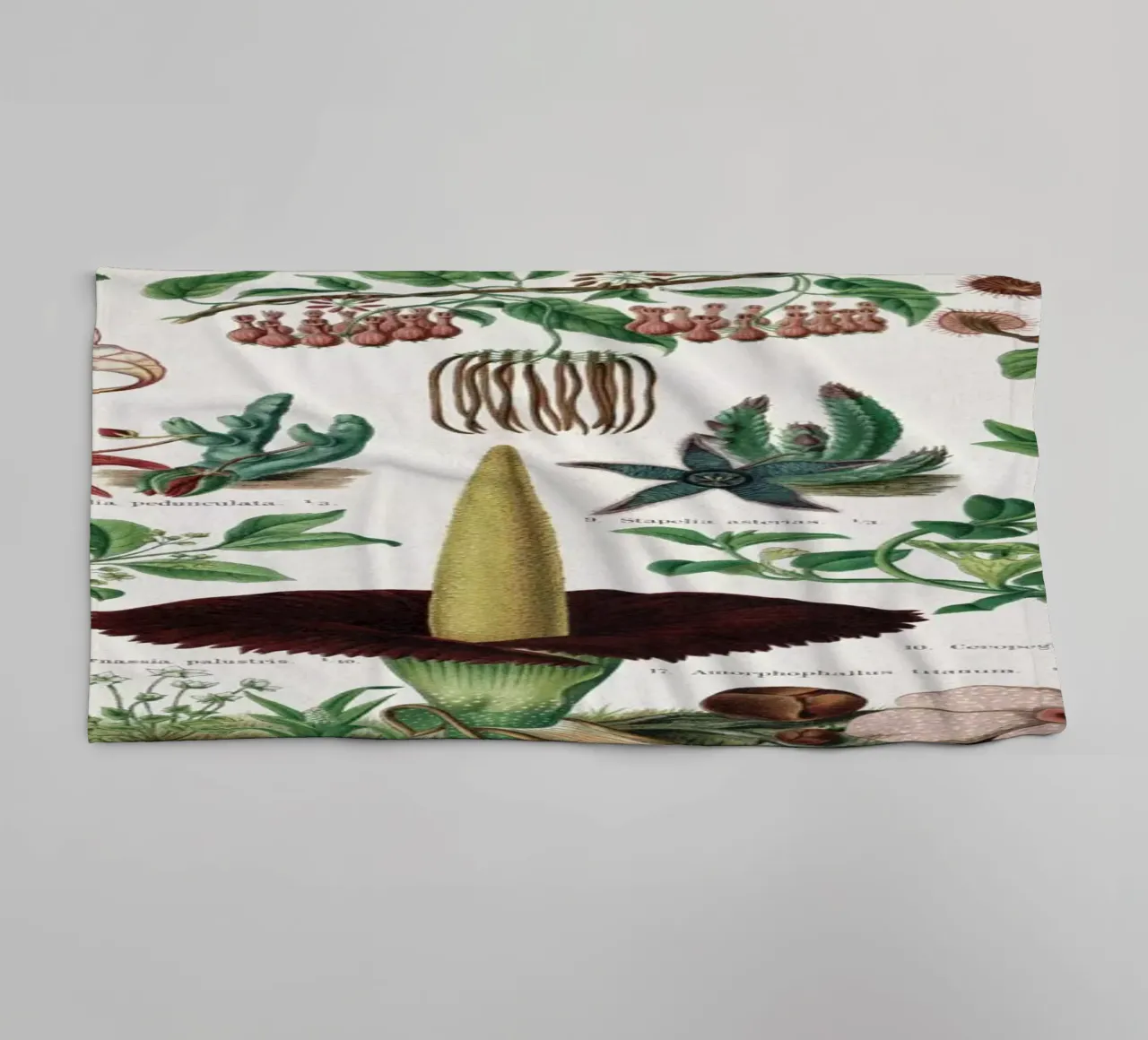 Vintage Meyers 2 Fliegenblumen asciugamano da bagno da Vintage Print Collection
