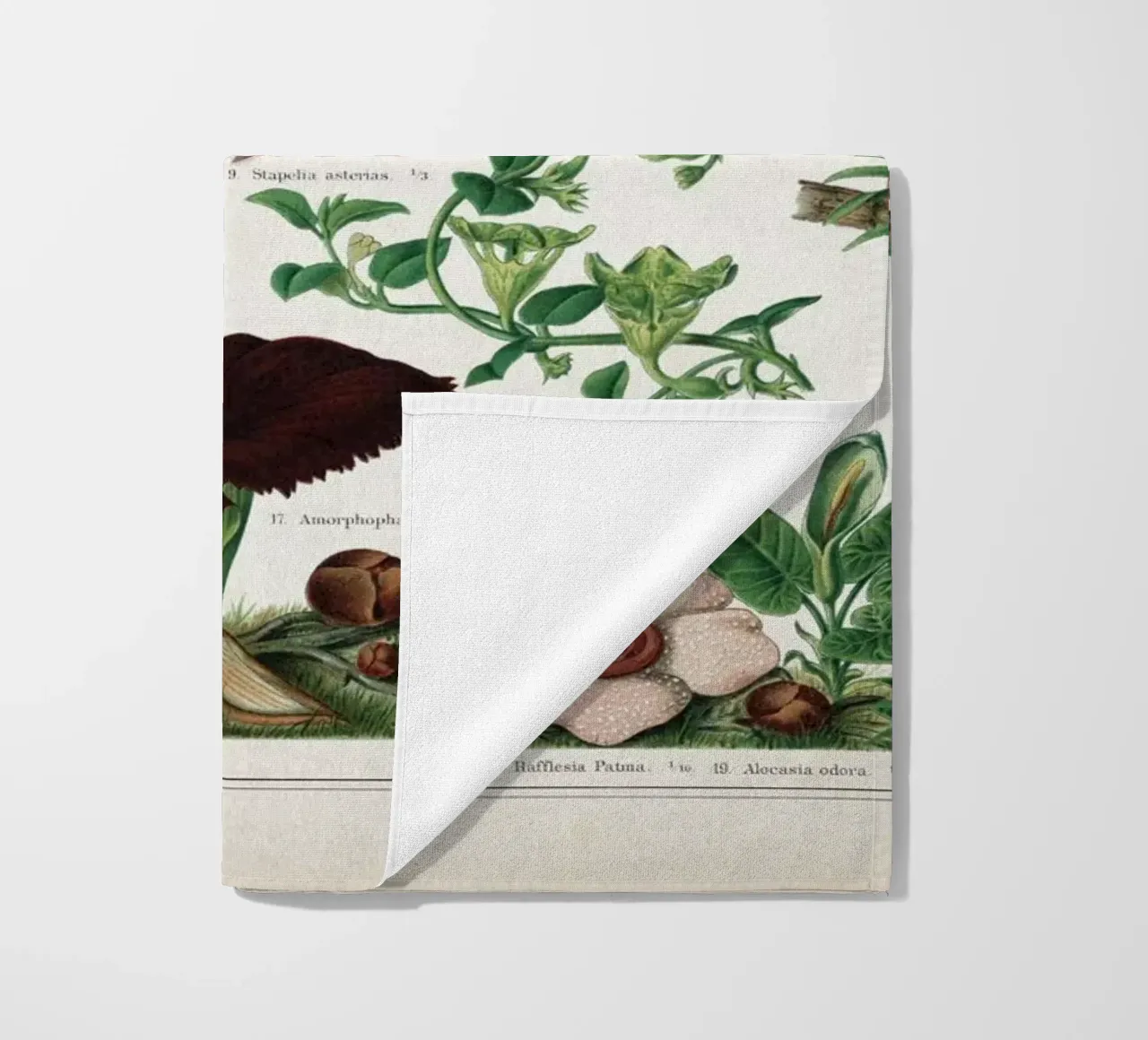Vintage Meyers 2 Fliegenblumen telo mare da Vintage Print Collection