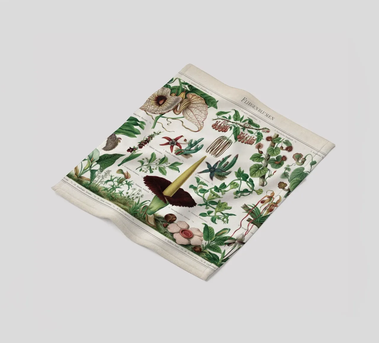 Vintage Meyers 2 Fliegenblumen coperta in pile da Vintage Print Collection