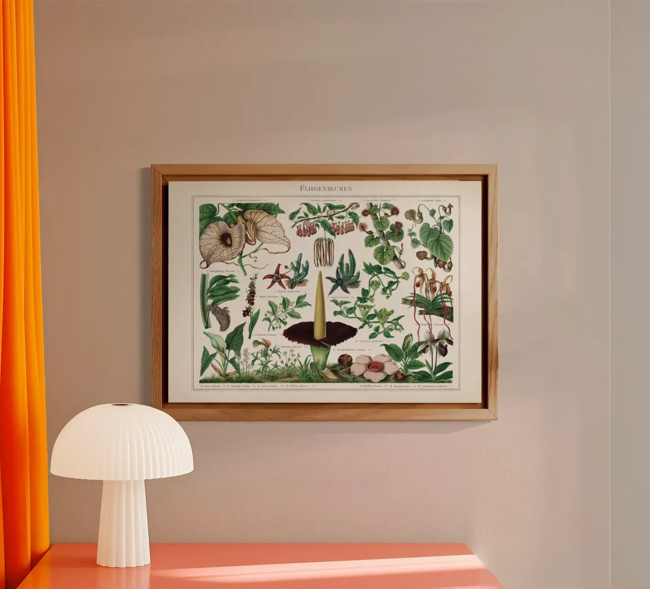 Vintage Meyers 2 Fliegenblumen alluminio dibond da Vintage Print Collection