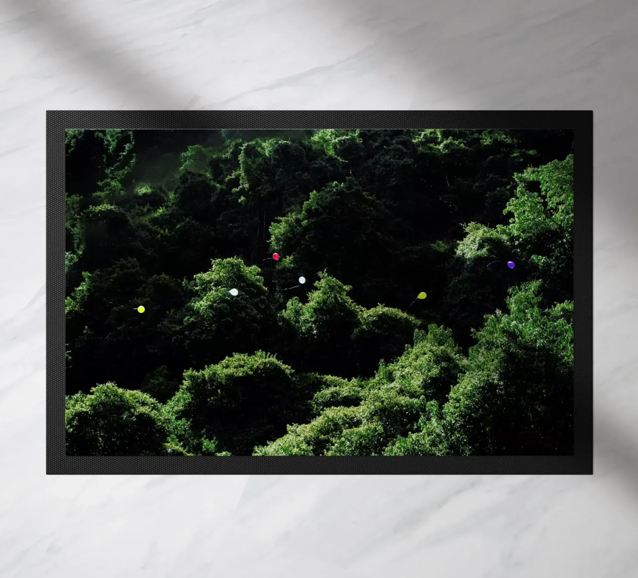 Balloons in the Jungle zerbino da Julian Wolkenstein