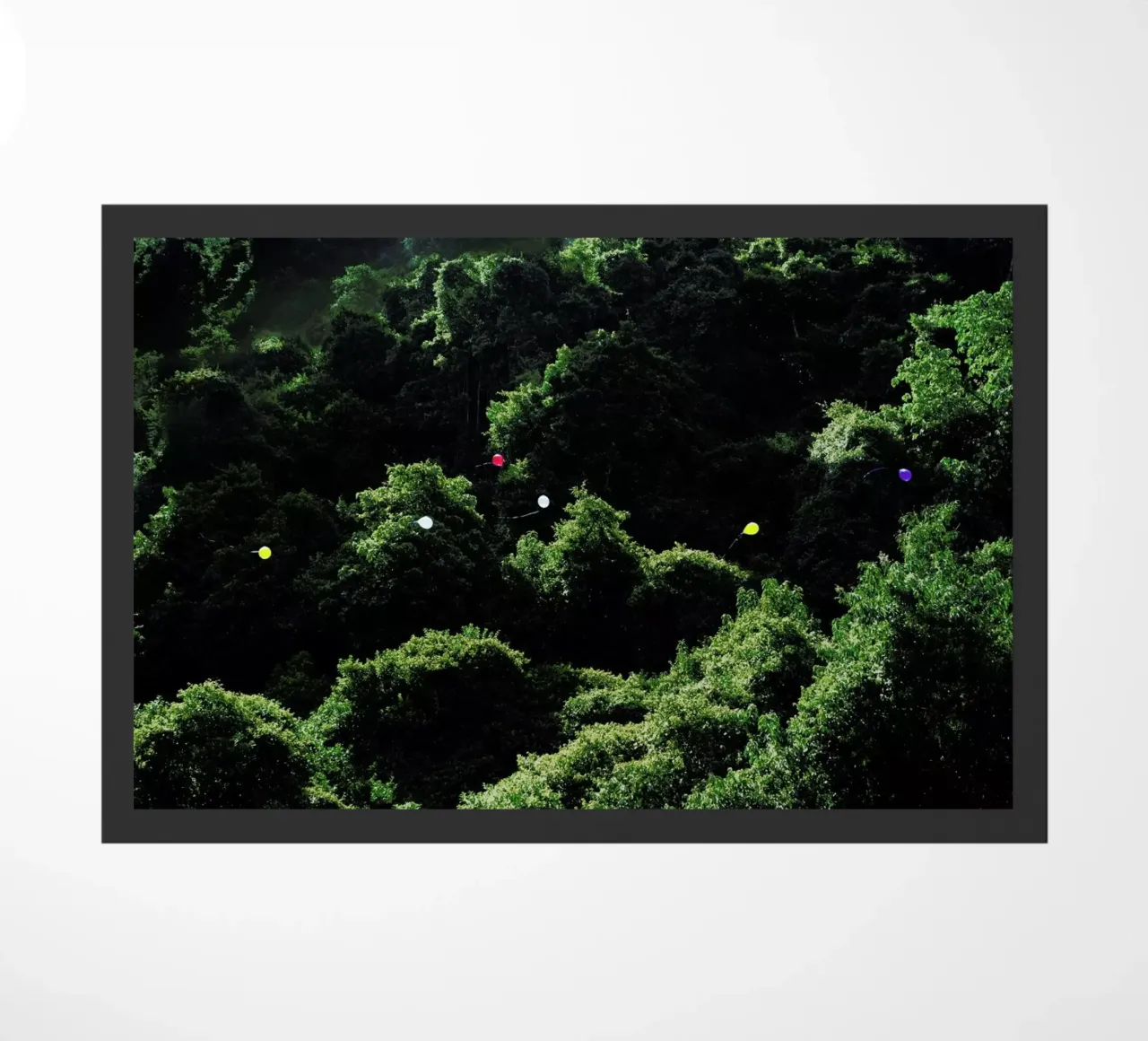 Balloons in the Jungle zerbino da Julian Wolkenstein