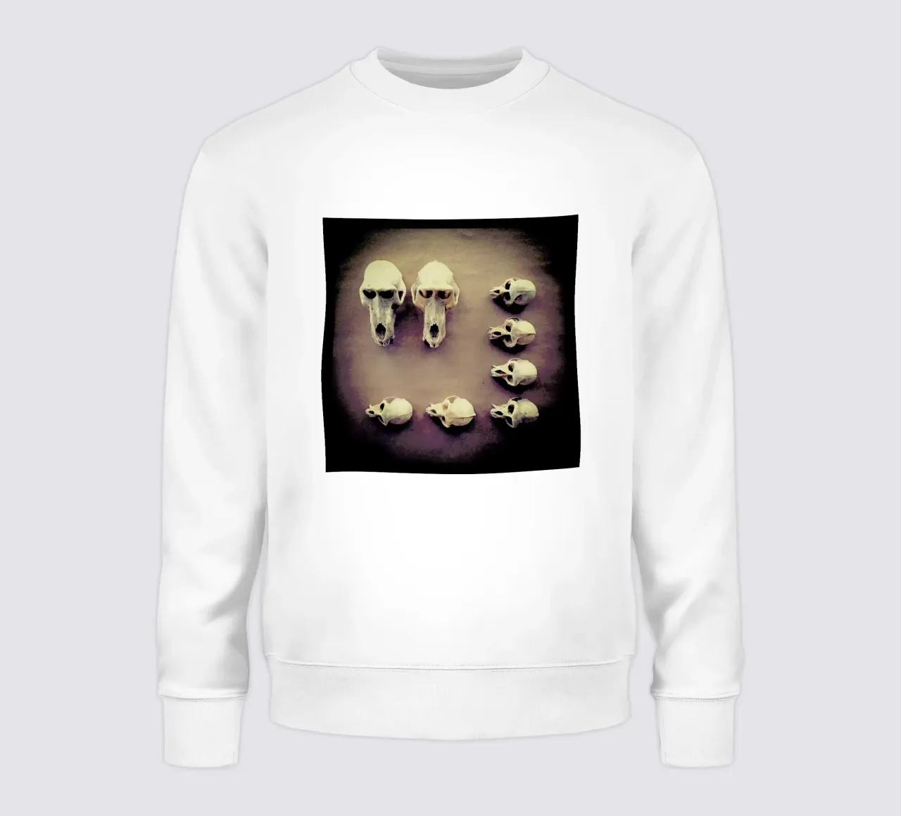 The Golden Skull felpa da Ballack Art House