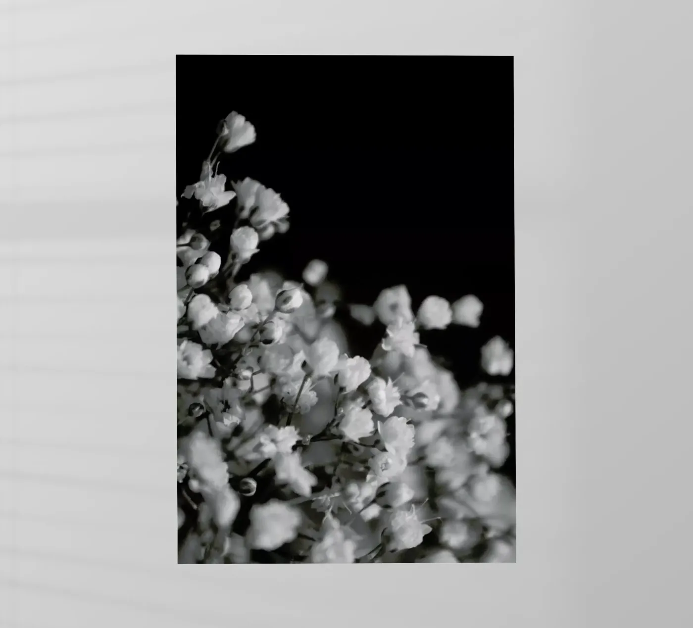 Bloom I pellicola backlit da Victoria Frost