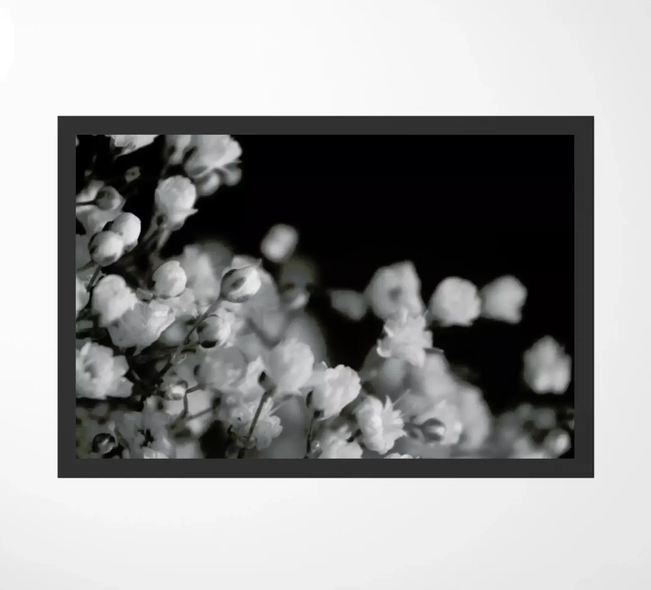 Bloom I zerbino da Victoria Frost