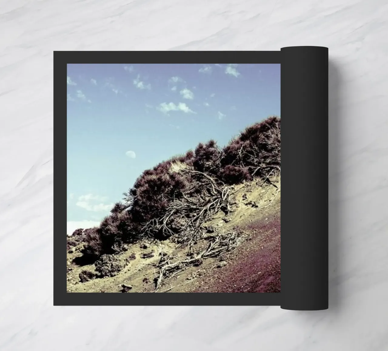 Horizon zerbino da Victoria Frost