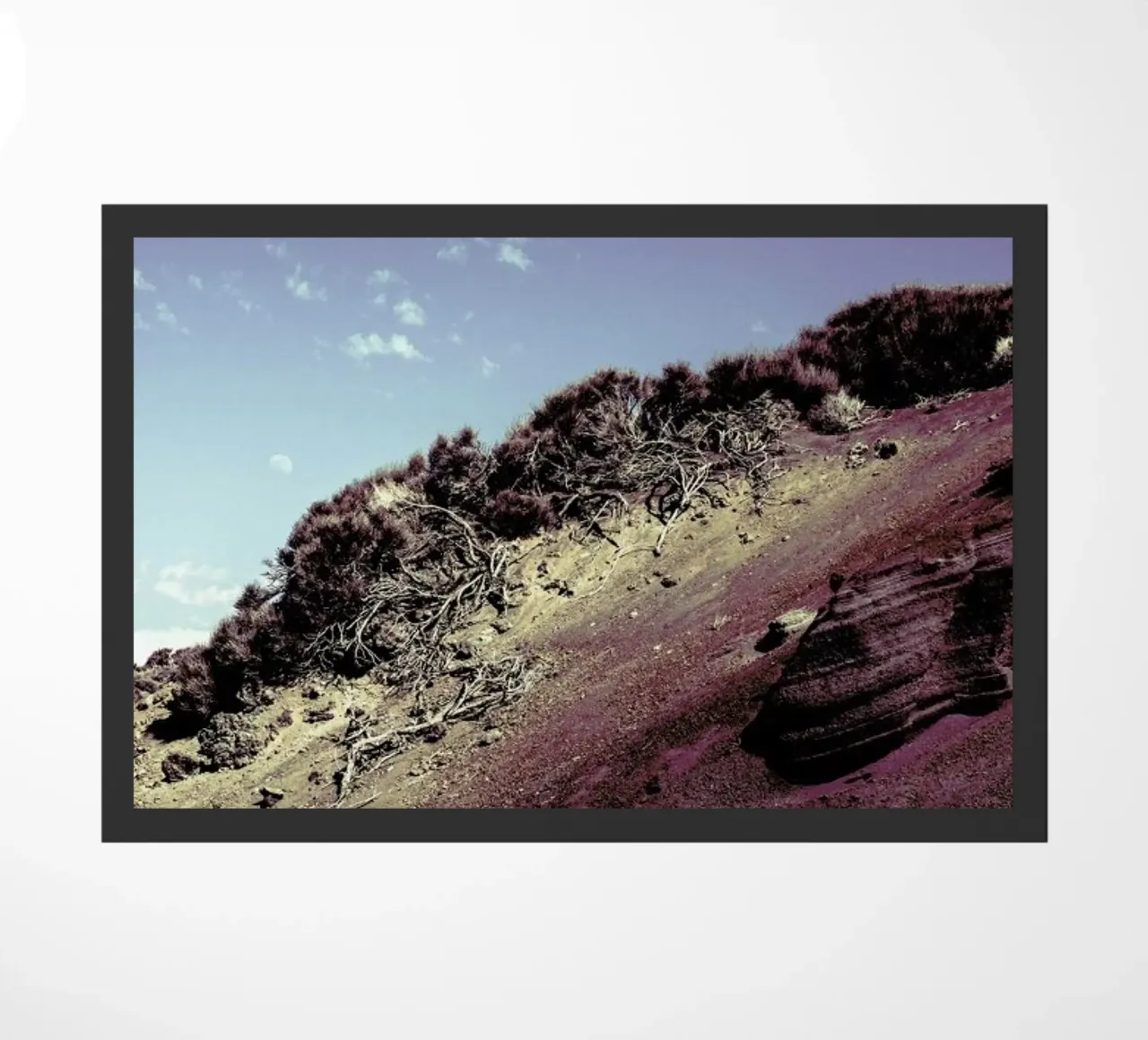 Horizon zerbino da Victoria Frost