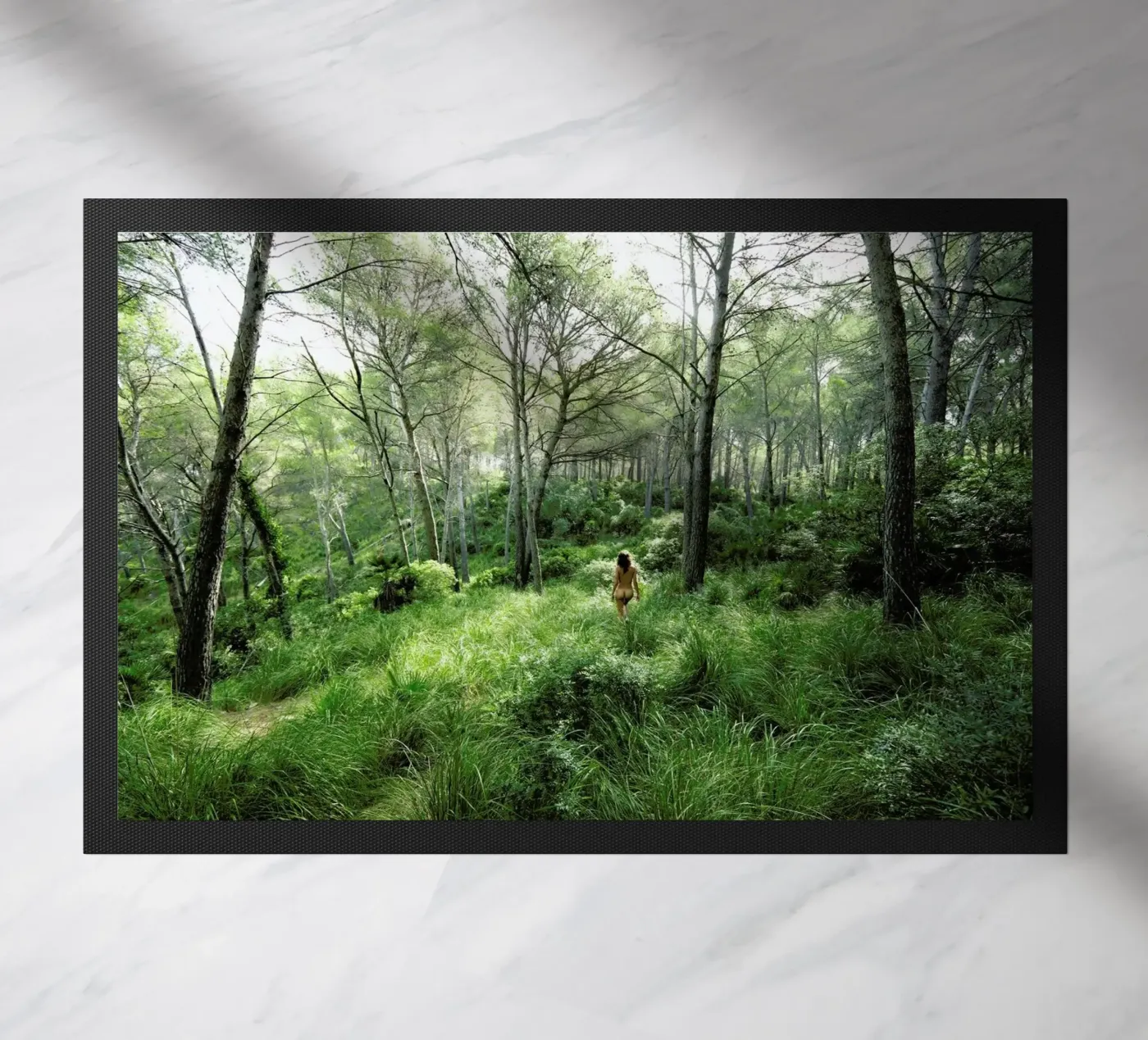 Consonance II zerbino da Matevž Kosterov