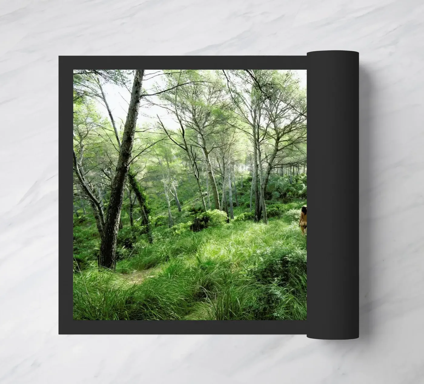 Consonance II zerbino da Matevž Kosterov