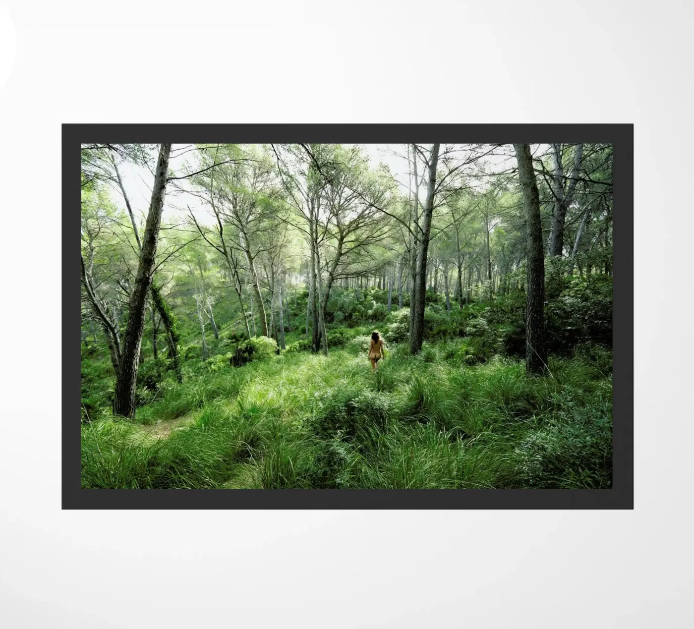 Consonance II zerbino da Matevž Kosterov